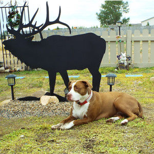 Meet your Posher, Alisa